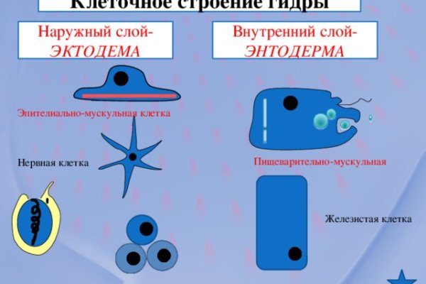 Средства зачисляются после 2 подтверждений mega