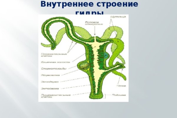 Блэкспрут сайт анонимных покупок что это такое